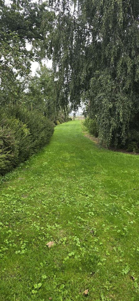 gospodarstwo, 5 pokoi Tujsk. Zdjęcie 8