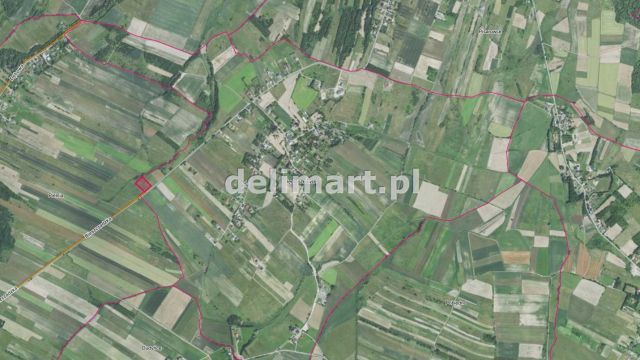 Działka rolna Jędruszkowce. Zdjęcie 12