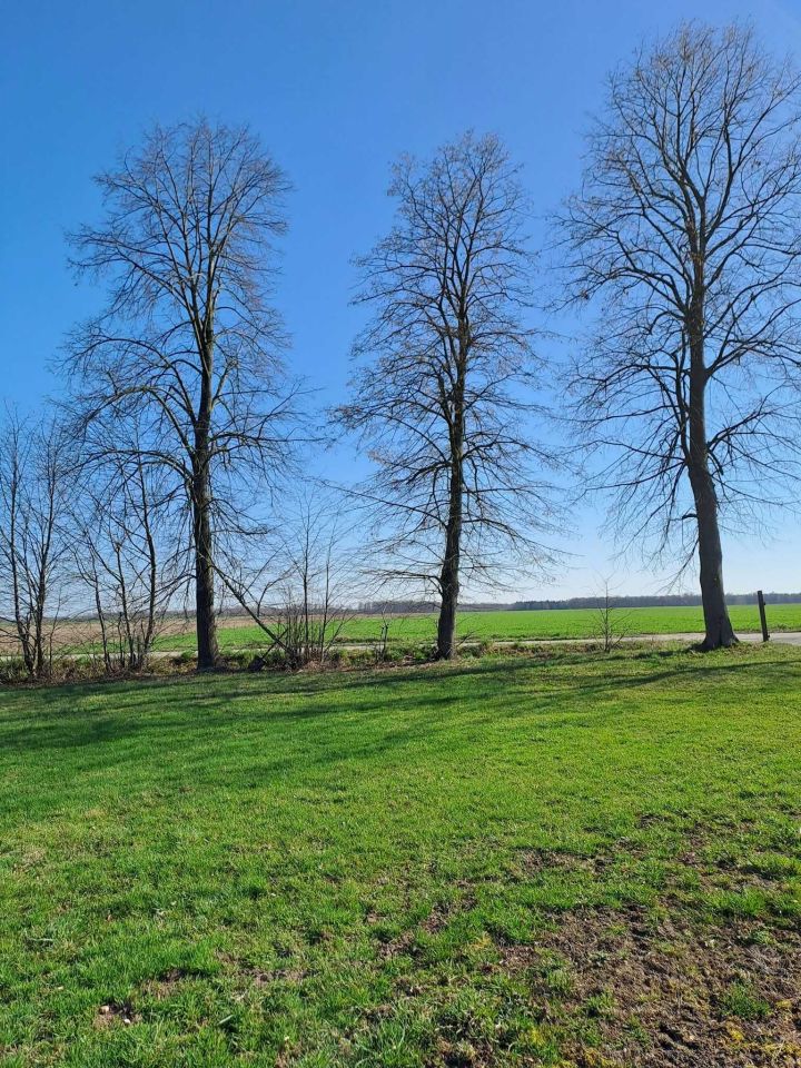 Działka rolno-budowlana Mianowo. Zdjęcie 3