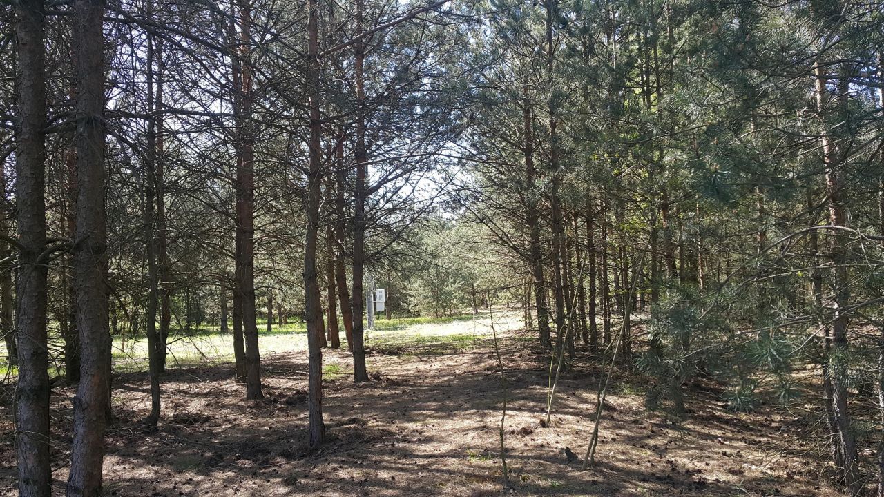 Działka budowlana Żelazna Stara. Zdjęcie 6