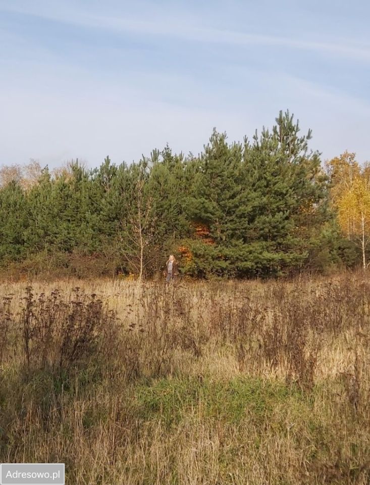 Działka budowlana Choceń, ul. Polna. Zdjęcie 12