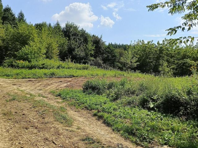 Działka budowlana Zaborów. Zdjęcie 1