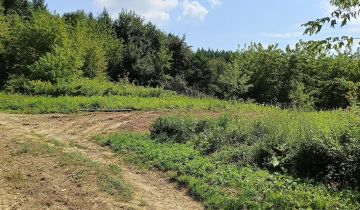 Działka na sprzedaż Zaborów  2300 m2