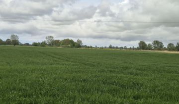 Działka rolna Pruszcz Gdański, Roszkowo