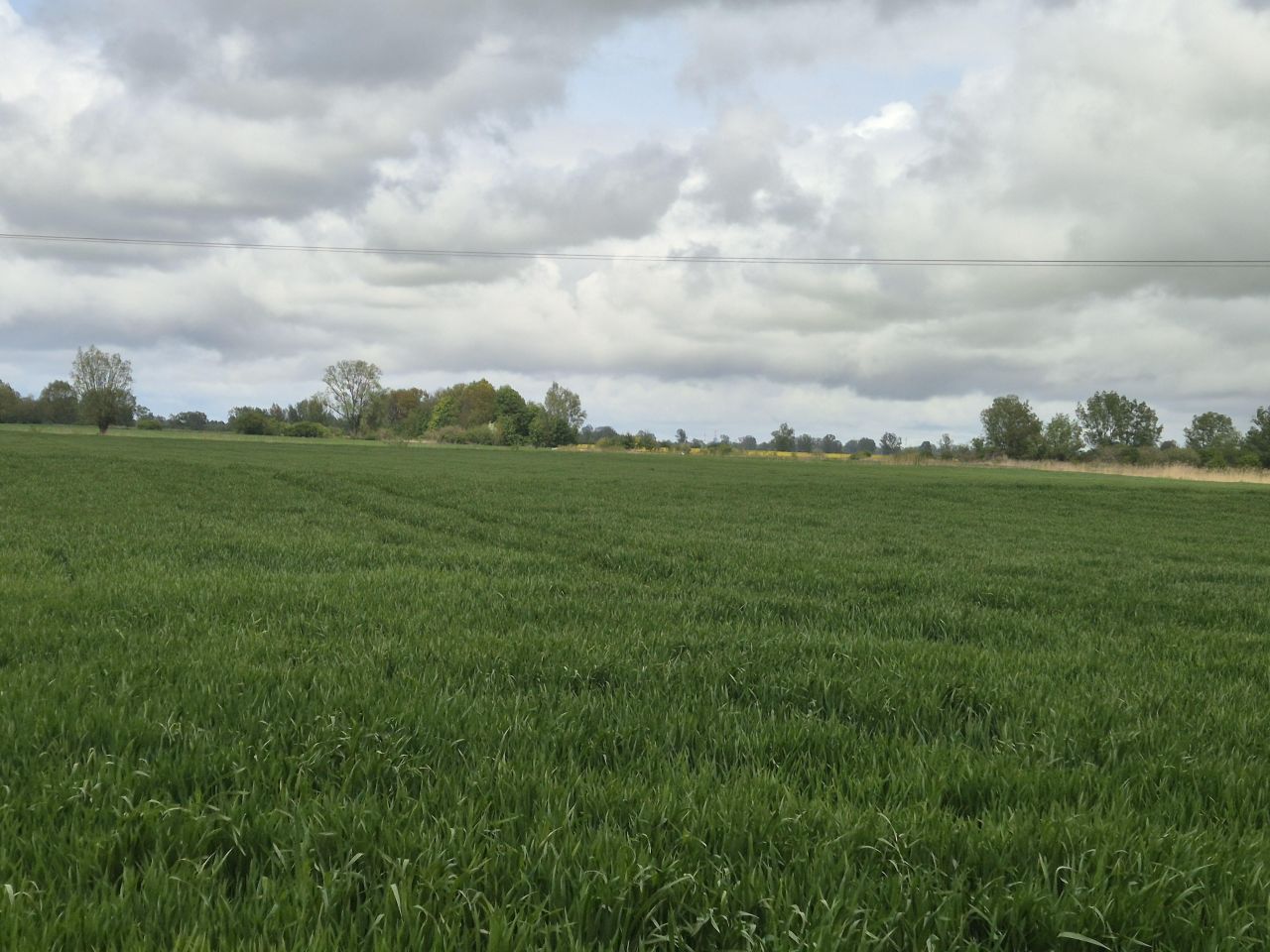 Działka rolna Roszkowo