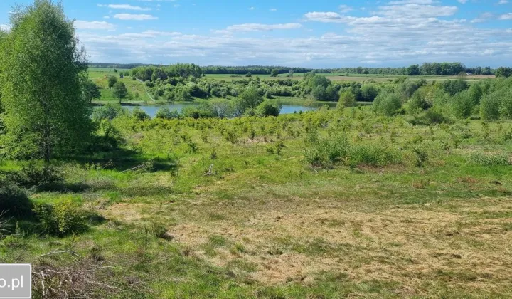 Działka budowlana Żabin