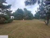 Działka rekreacyjna Drzonowo. Zdjęcie 4