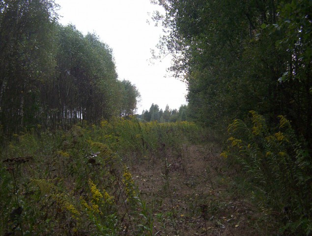 Działka rolna Tuszyn, ul. Modlicka. Zdjęcie 1