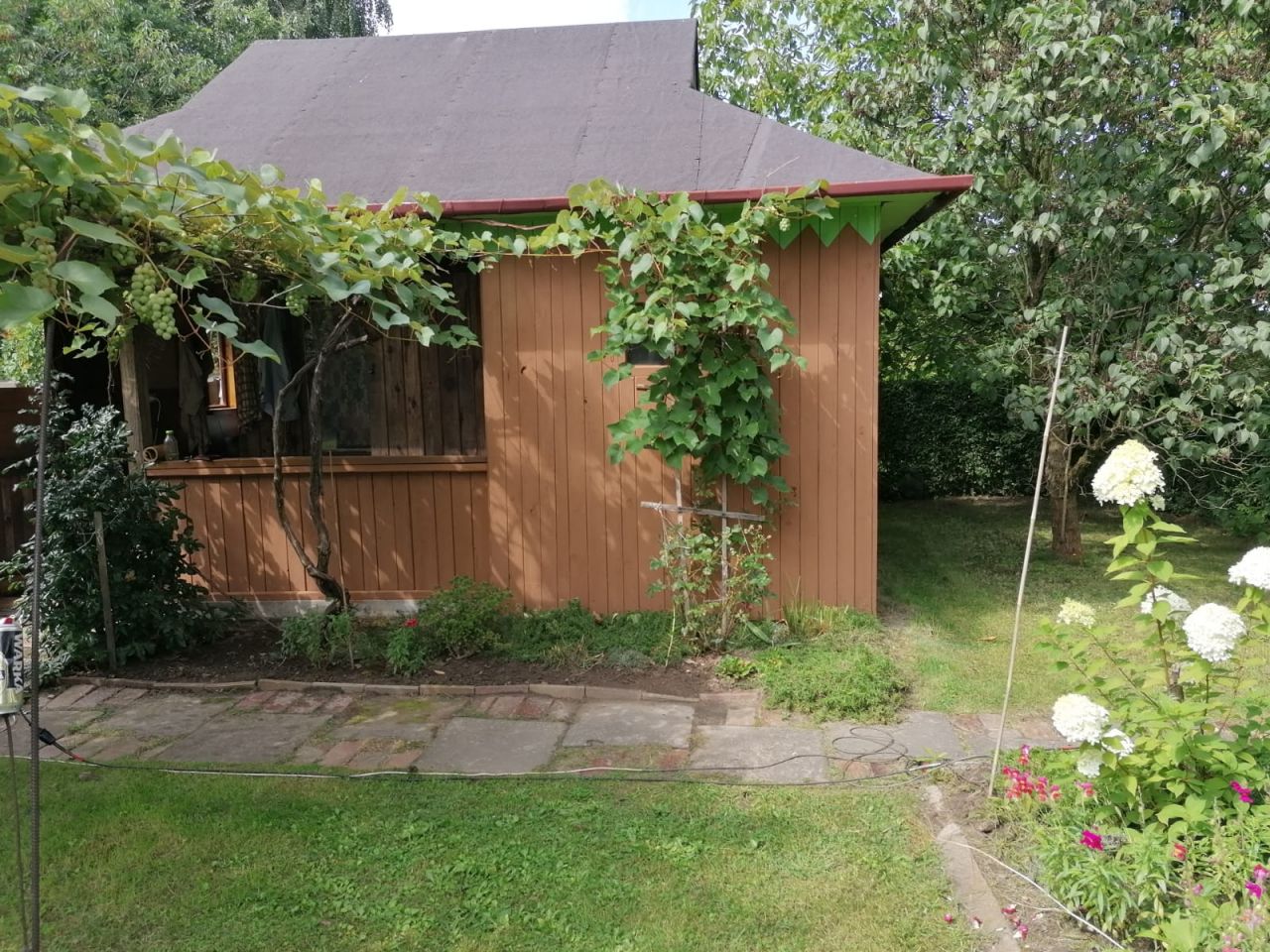 Działka rekreacyjna Koluszki, ul. Czarneckiego. Zdjęcie 1