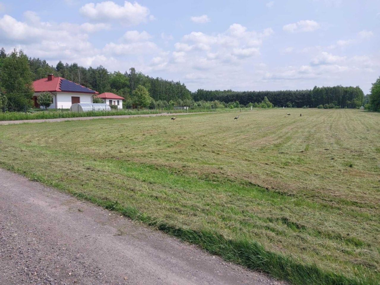 Działka budowlana Firlej. Zdjęcie 4