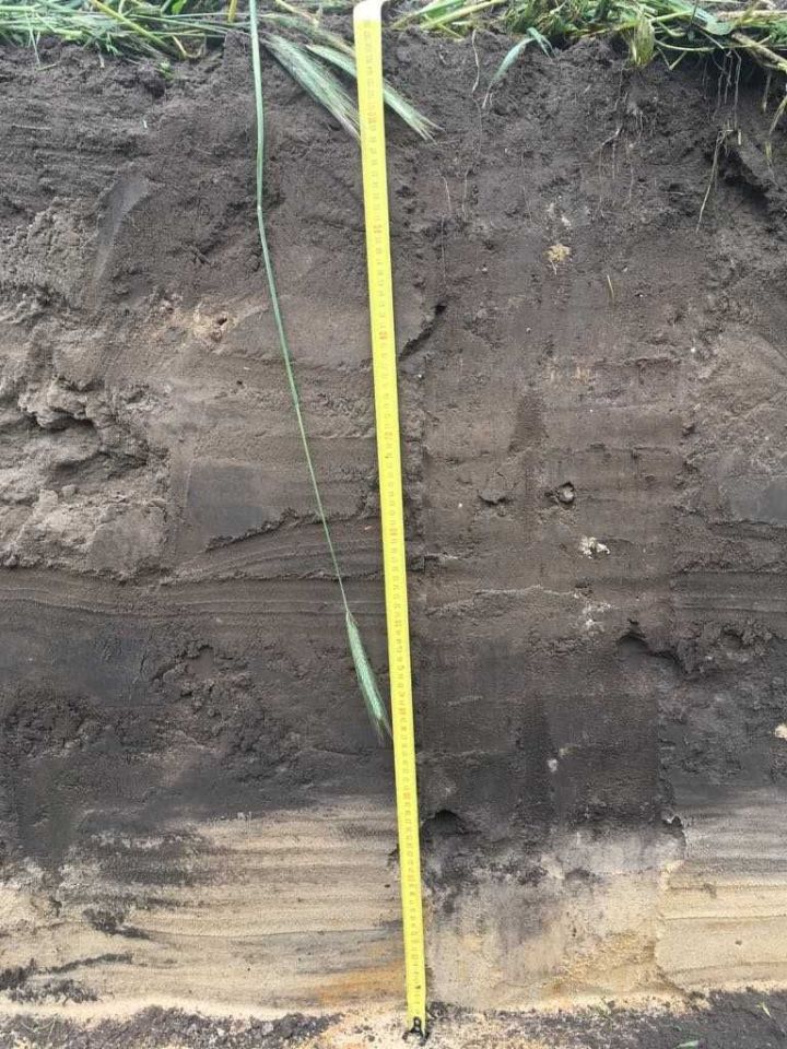 Działka budowlana Chludowo, ul. Ojca Mariana Żelazka. Zdjęcie 6