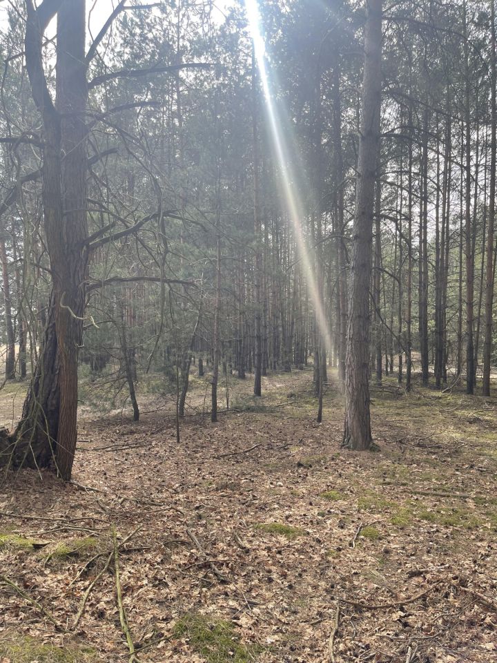 Działka budowlana Faustynów Fraszka. Zdjęcie 5