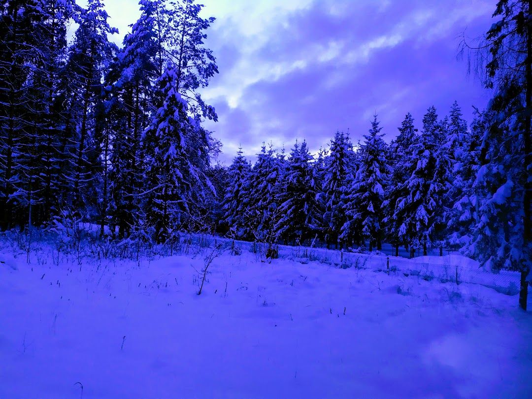 dom letniskowy, 4 pokoje Radawa, Mołodycka. Zdjęcie 11