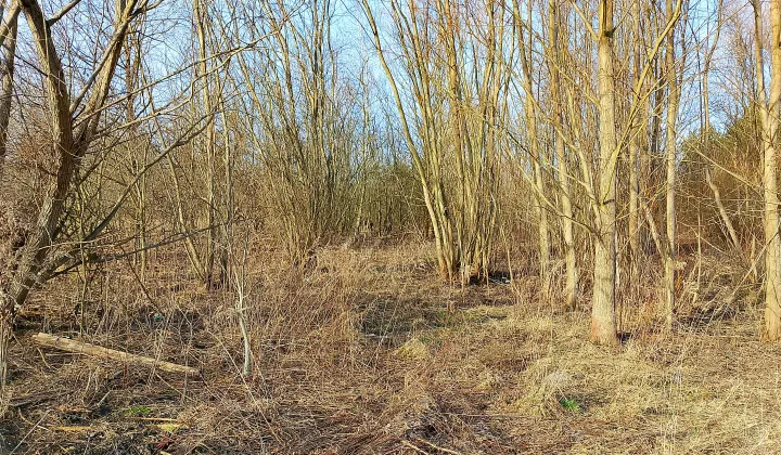 Działka budowlana Runów, ul. Dobra