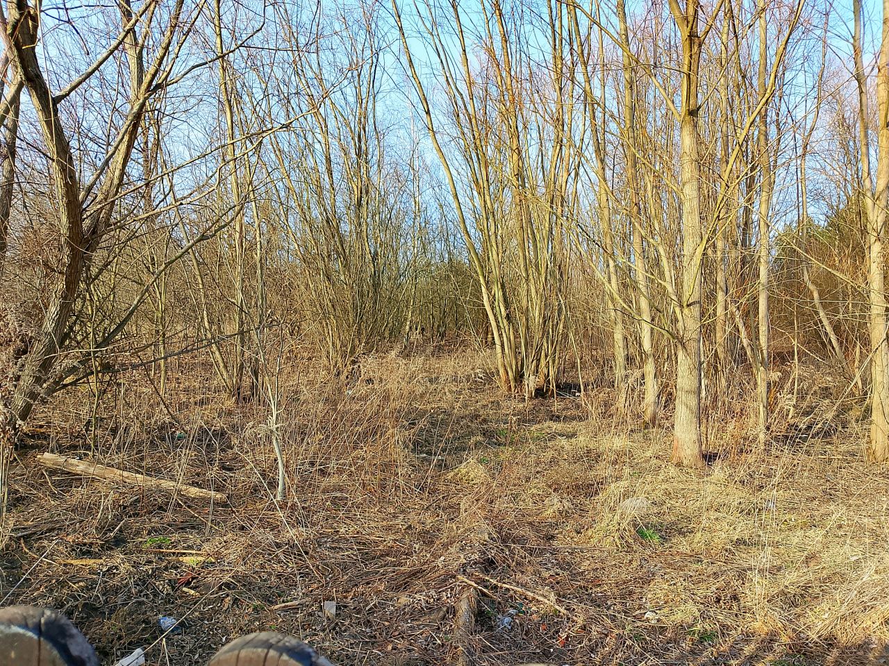 Działka budowlana Runów, ul. Dobra. Zdjęcie 1