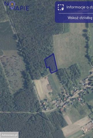 Działka siedliskowa Płonno. Zdjęcie 1