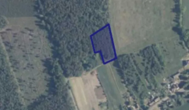 Działka siedliskowa Płonno