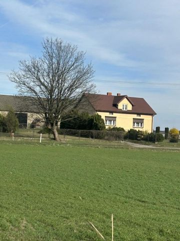 gospodarstwo Przyłubie. Zdjęcie 1