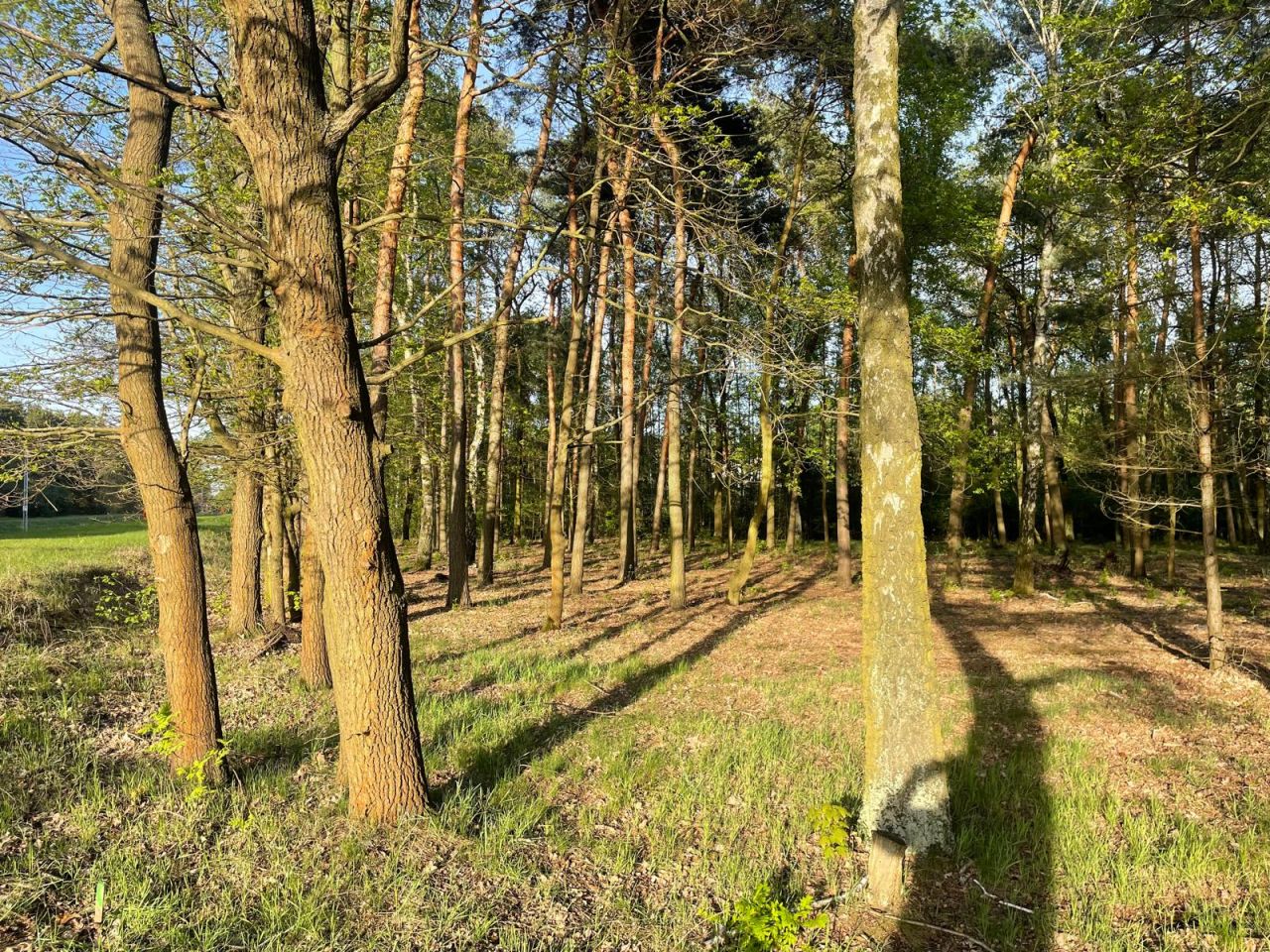 Działka budowlana Skierniewice Feliksów, ul. Przechodnia. Zdjęcie 2