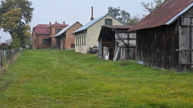 Działka rolno-budowlana Borowa. Zdjęcie 1