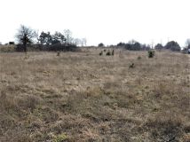 Działka rolno-budowlana Wiejca. Zdjęcie 4