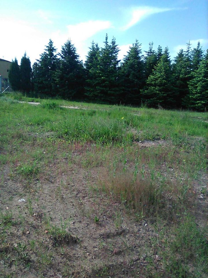 Działka budowlana Warszówka. Zdjęcie 6