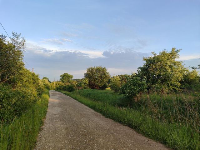 Działka rolno-budowlana Luszowice Brzezinki, ul. Xawerego Dunikowskiego. Zdjęcie 1