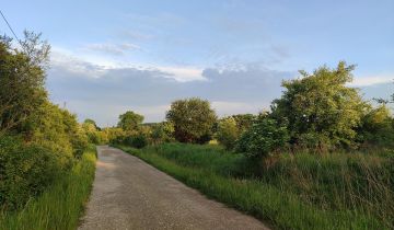 Działka rolno-budowlana Luszowice Brzezinki, ul. Xawerego Dunikowskiego