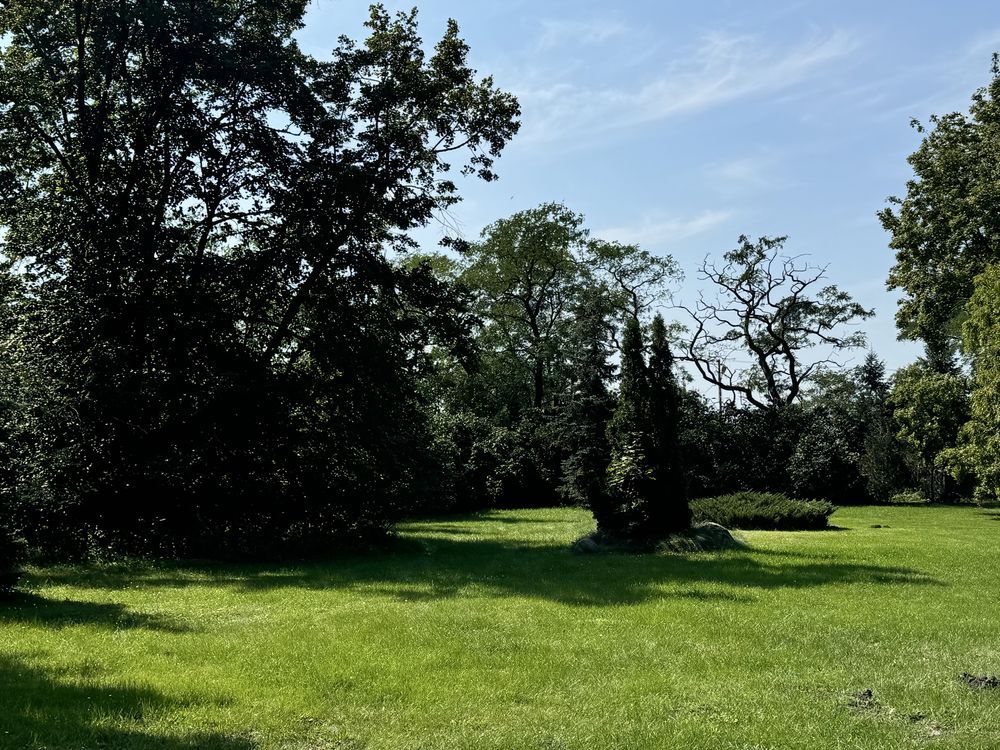 Nieruchomość komercyjna Podłężyce. Zdjęcie 4