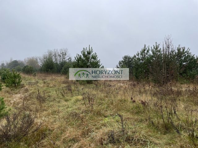 Działka budowlana Bojano. Zdjęcie 3