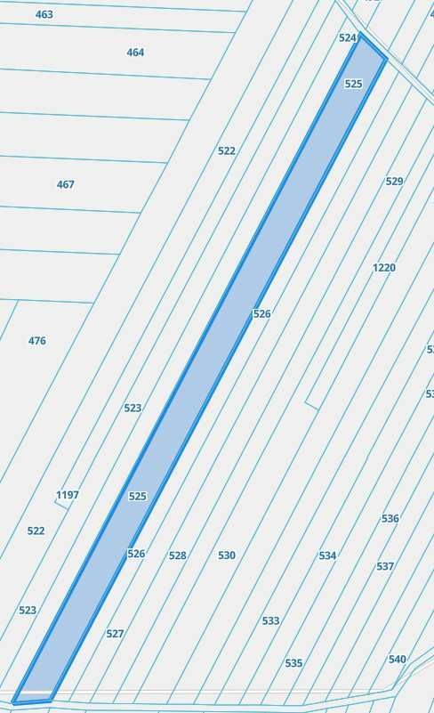 Działka rekreacyjna Nowa Wieś. Zdjęcie 2
