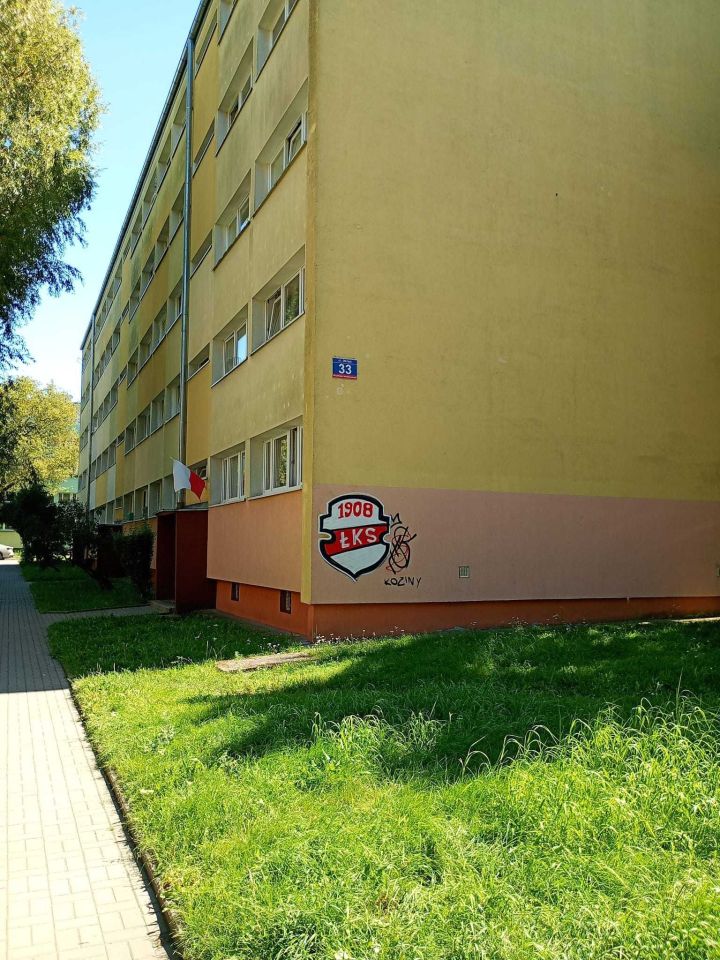 Mieszkanie 2-pokojowe Łódź Polesie, ul. Stefana Okrzei. Zdjęcie 8