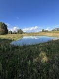 Działka rolno-budowlana Olszanka, Olszanka. Zdjęcie 1
