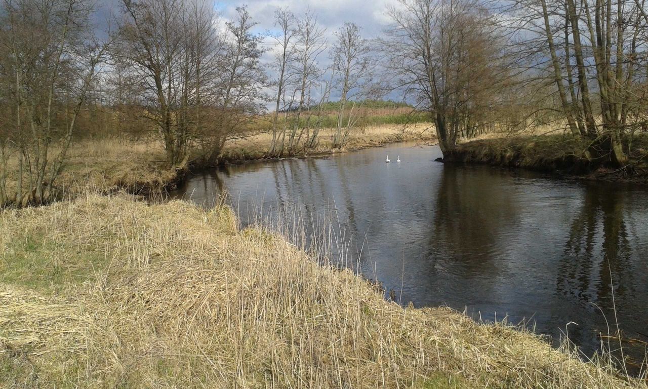 Działka rolno-budowlana Zimne Zdroje. Zdjęcie 7