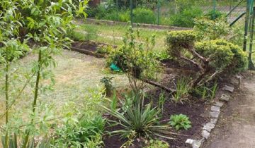 Działka rod Poznań Ławica, ul. Bukowska