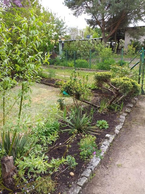 Działka rod Poznań Ławica, ul. Bukowska. Zdjęcie 2