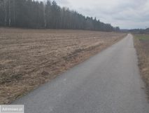 Działka budowlana Lesiew. Zdjęcie 3