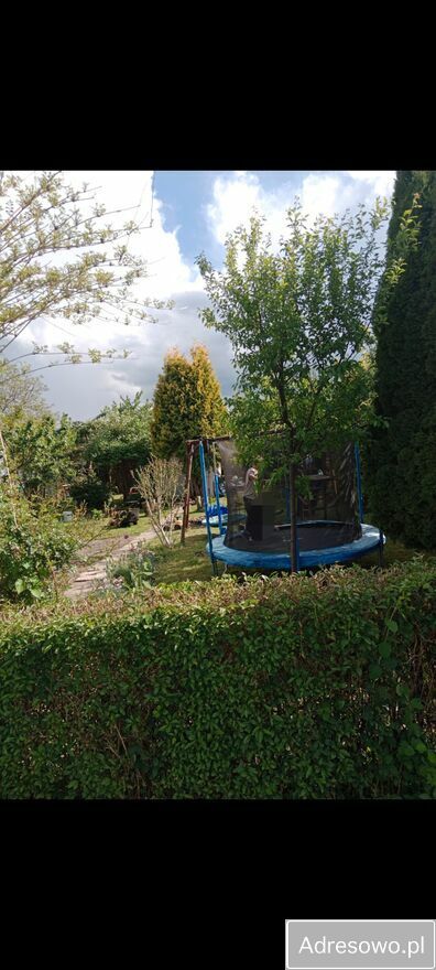 Działka rod Tarnobrzeg. Zdjęcie 6