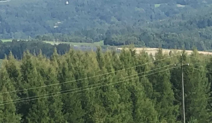 Działka leśna Jawornik Polski