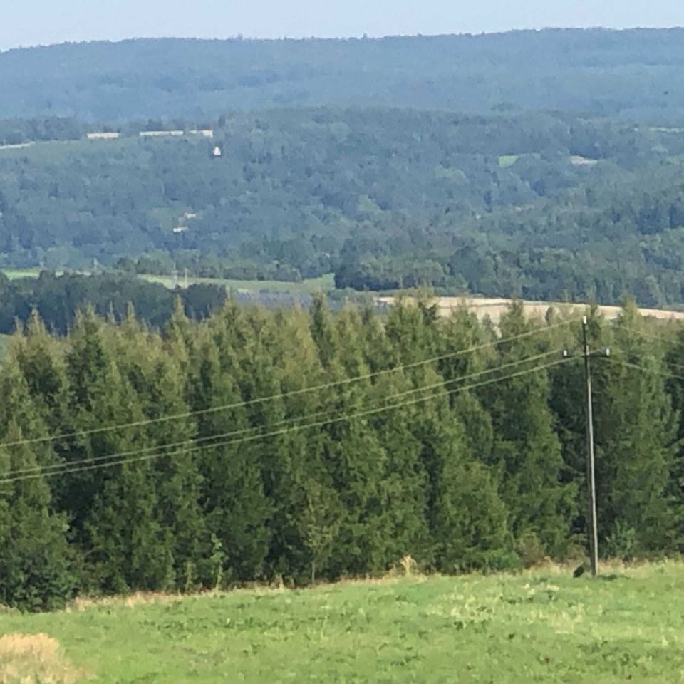 Działka leśna Jawornik Polski. Zdjęcie 1