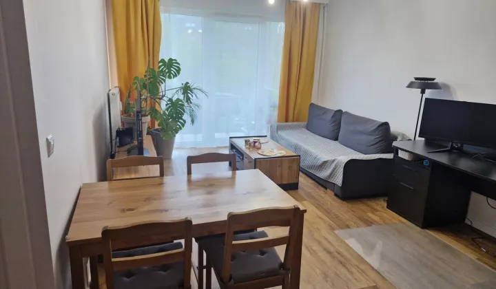 Mieszkanie 2-pokojowe Zielona Góra Centrum, ul. Zdrojowa