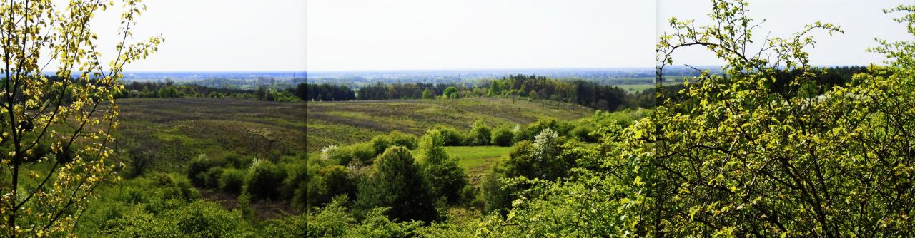 Działka rolno-budowlana Łęgowo. Zdjęcie 2