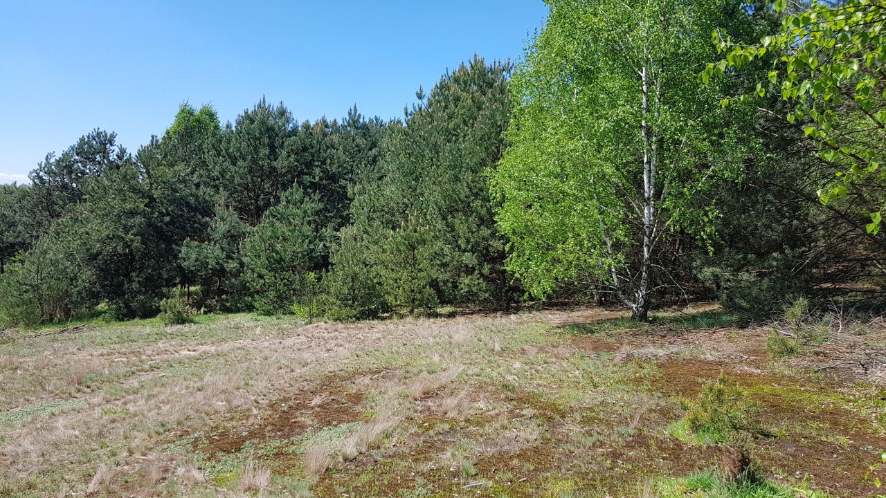 Działka rolno-budowlana Taurów. Zdjęcie 6