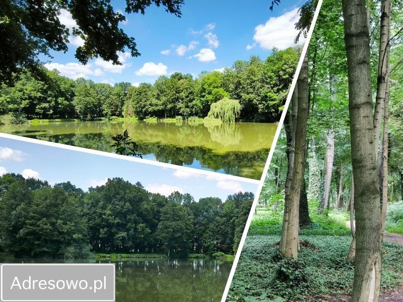 bliźniak, 4 pokoje Malin, ul. Miła. Zdjęcie 9