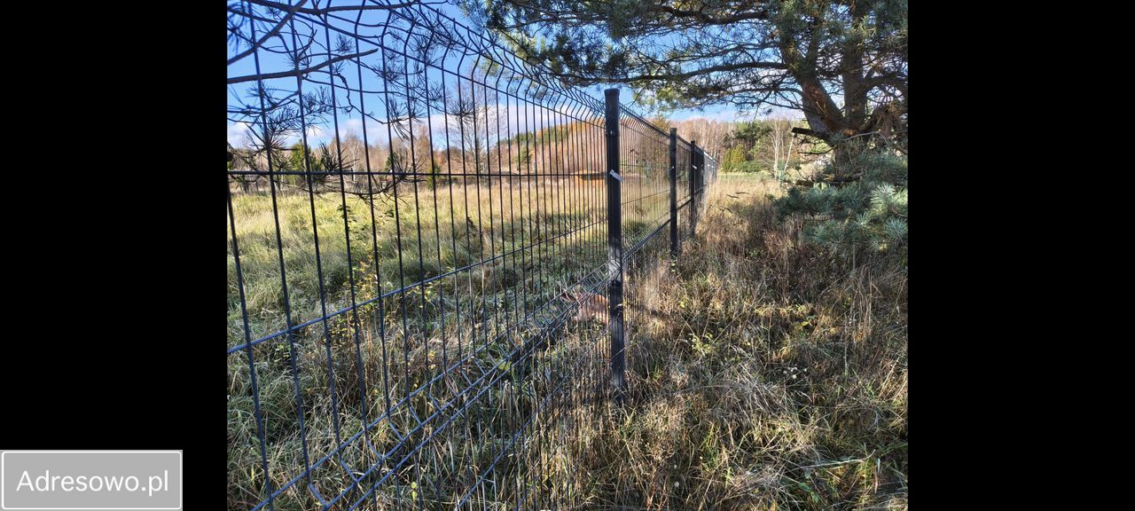 Działka budowlana Czapielsk, ul. Skrzypowa. Zdjęcie 8