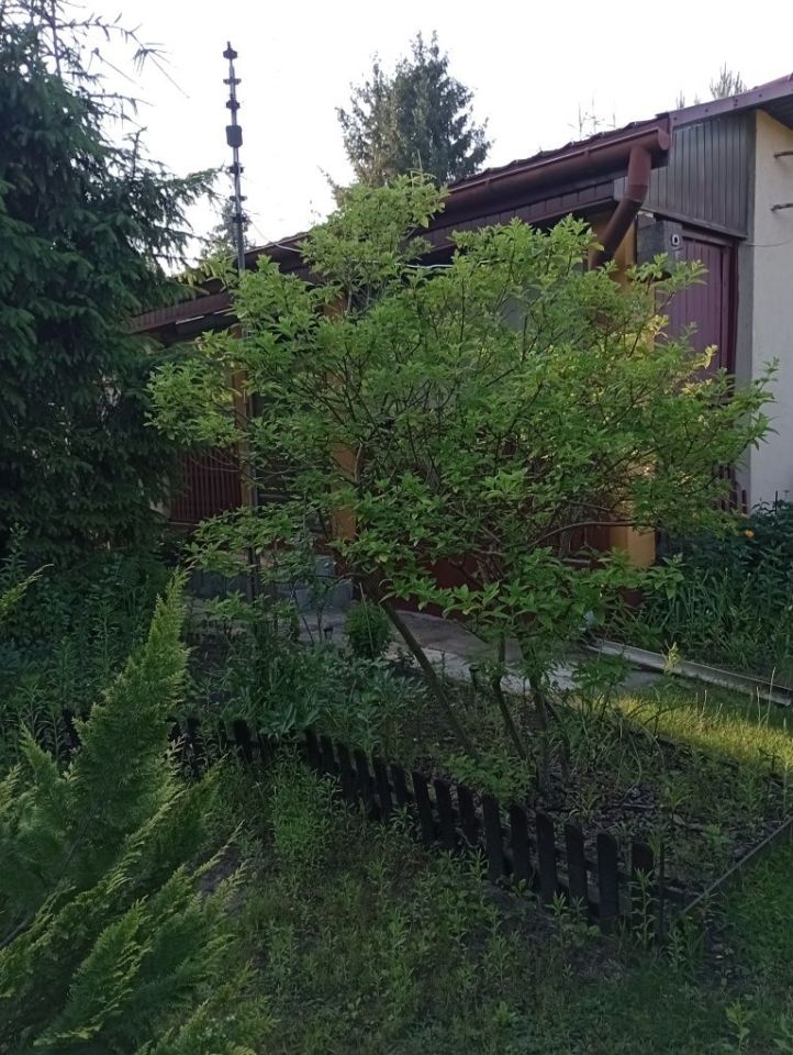 Działka rod Słowik. Zdjęcie 6