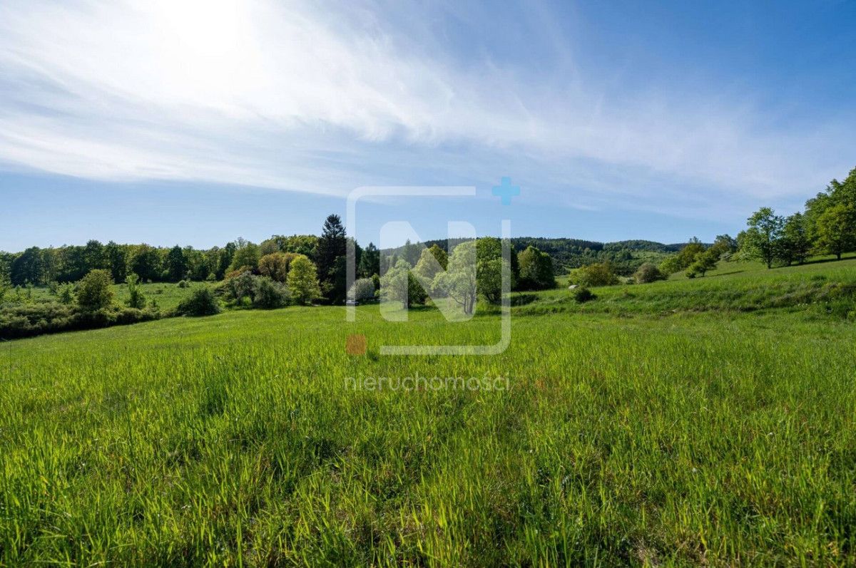 Działka budowlana Karpacz Wilcza Poręba, ul. Wilcza. Zdjęcie 8