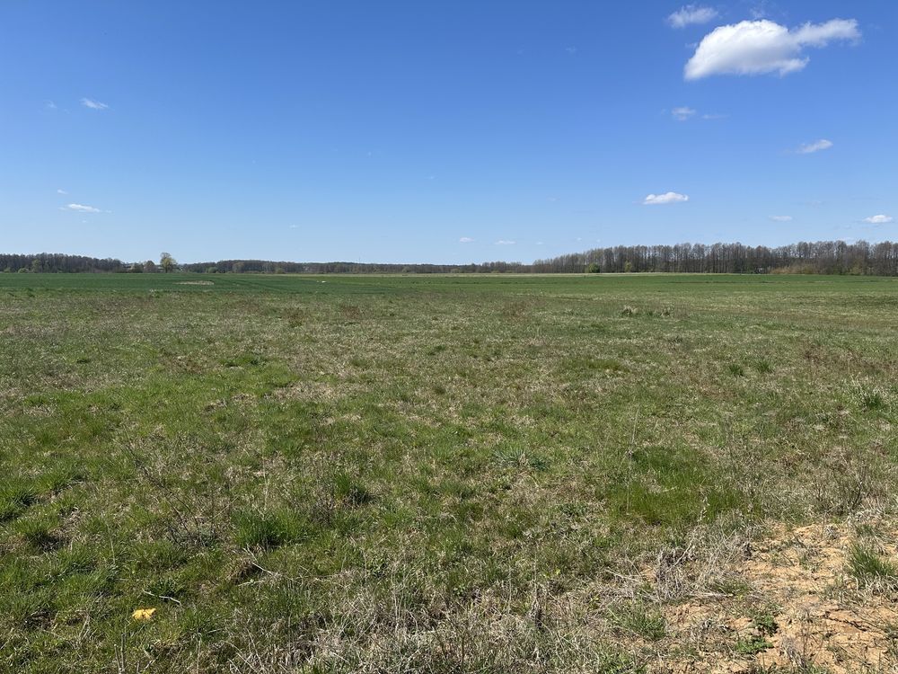 Działka budowlana Lipienice Lipienice Dolne. Zdjęcie 3