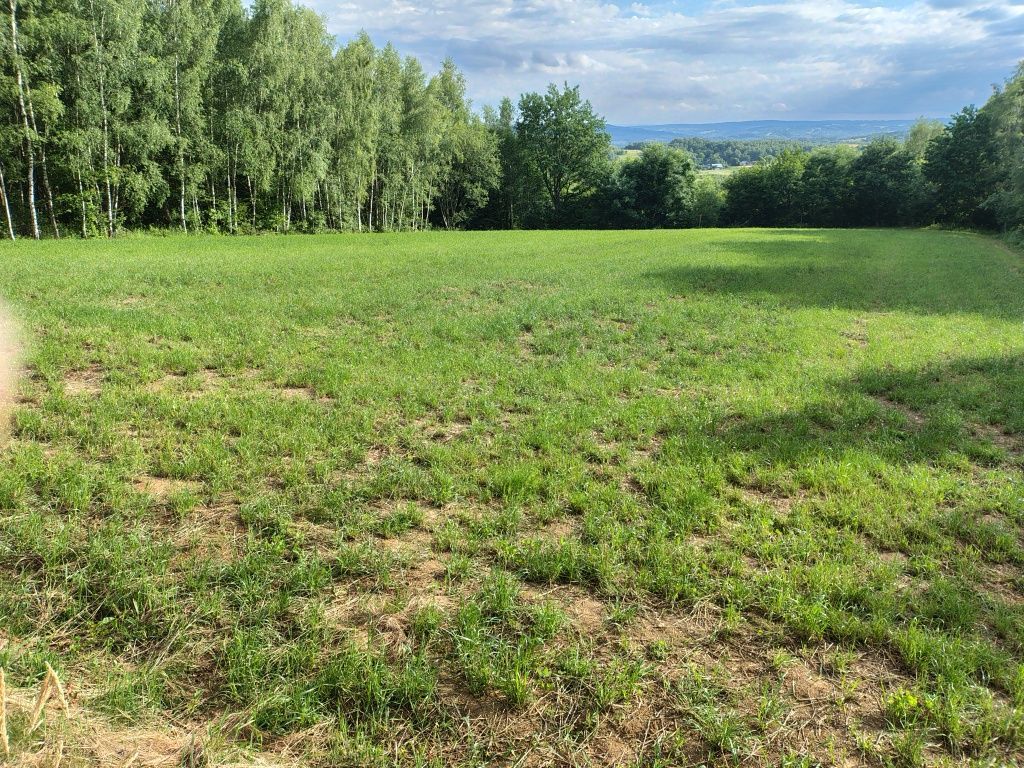 Działka budowlana Kosztowa. Zdjęcie 3