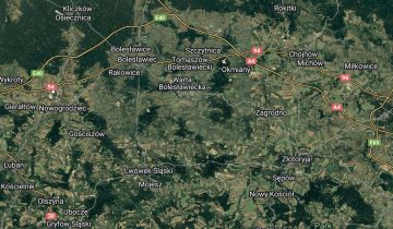 Mieszkanie 1-pokojowe Raciborowice Górne